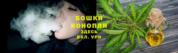 сатива Белоозёрский