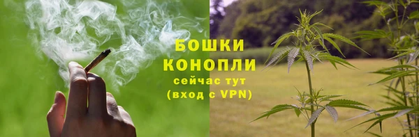 дмт Белокуриха