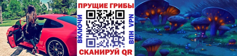 где продают наркотики  Ясногорск  Галлюциногенные грибы прущие грибы 